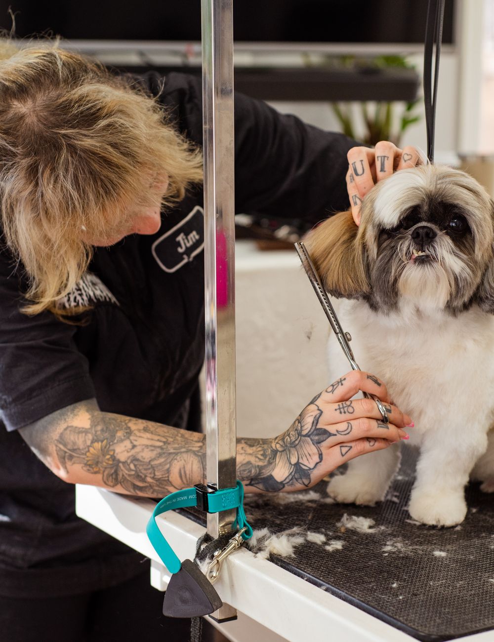 Pet Shop